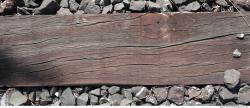 Photo Textures of Wood